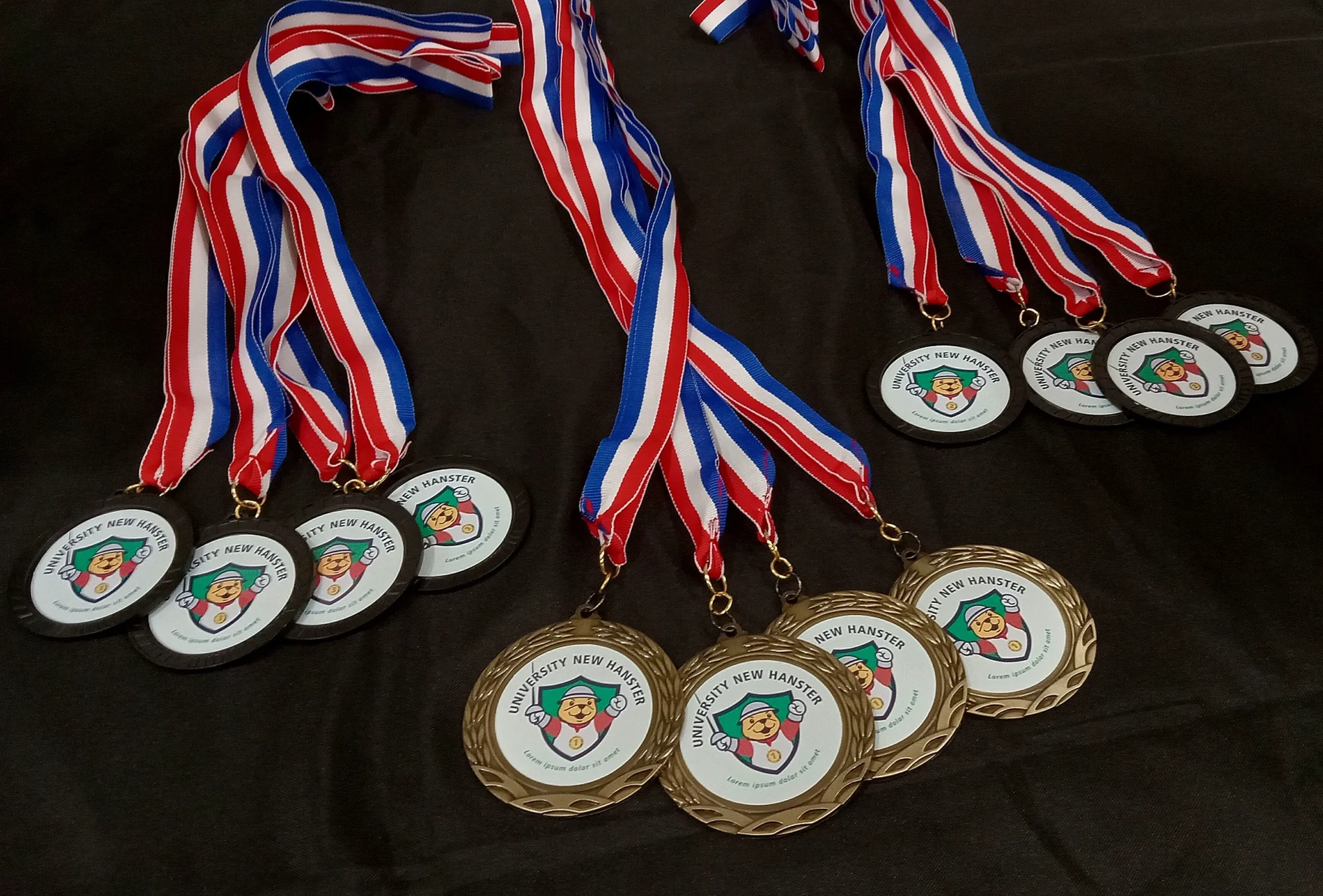 Custom New Hanster medals